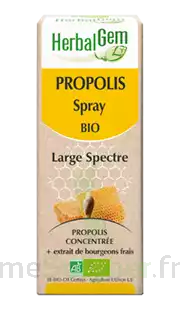 Herbalgem Propolis Large Spectre Solution Buvable Bio Spray/15ml à Caumont-sur-Durance